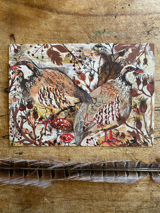 A6 Winter Partridges  postcard