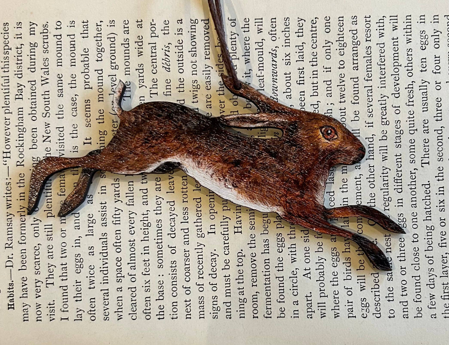 Hare decoration